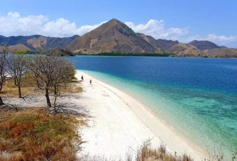 Hotelli Villa De Owis