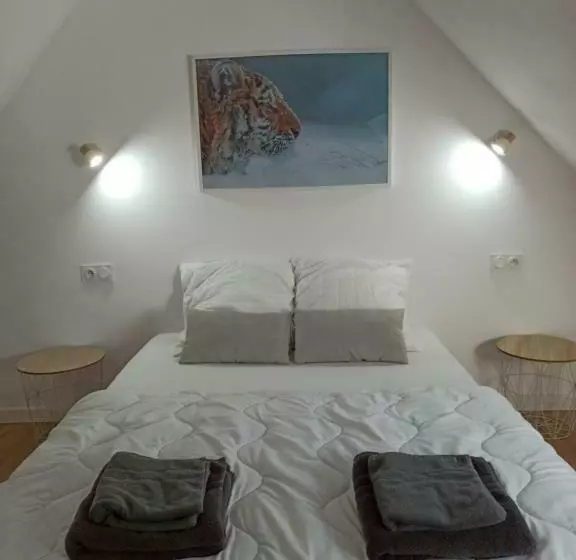 پانسیون A 4 Min Du Zoo De Beauval La Maison à Partager Ch4 2ème étage