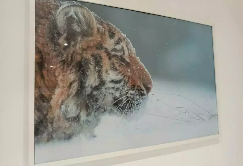 پانسیون A 4 Min Du Zoo De Beauval La Maison à Partager Ch4 2ème étage