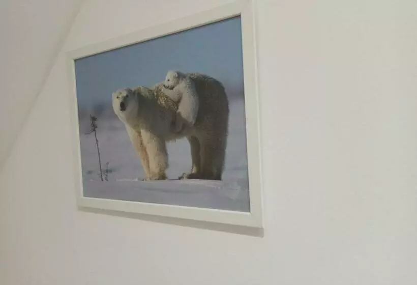 پانسیون A 4 Min Du Zoo De Beauval La Maison à Partager Ch4 2ème étage