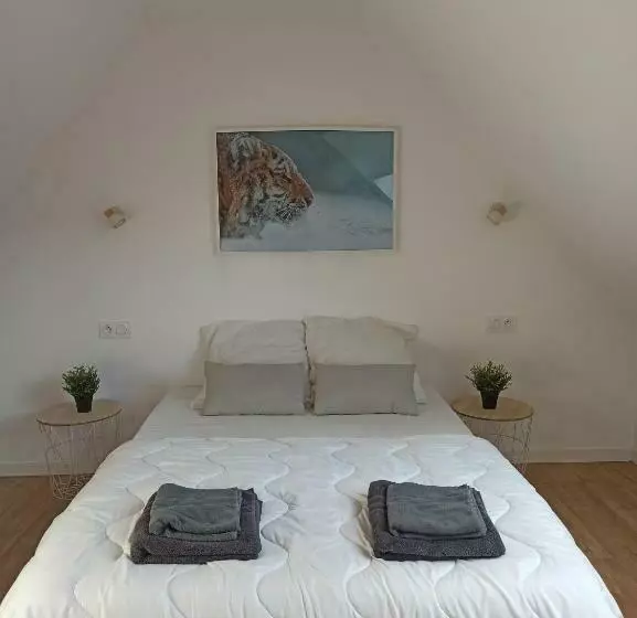 پانسیون A 4 Min Du Zoo De Beauval La Maison à Partager Ch4 2ème étage