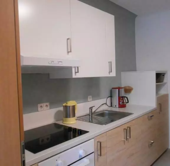 ペンション Gästehaus Schu