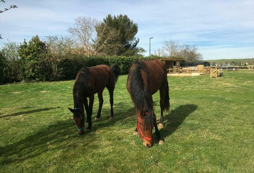 بنسيون Ker Isari