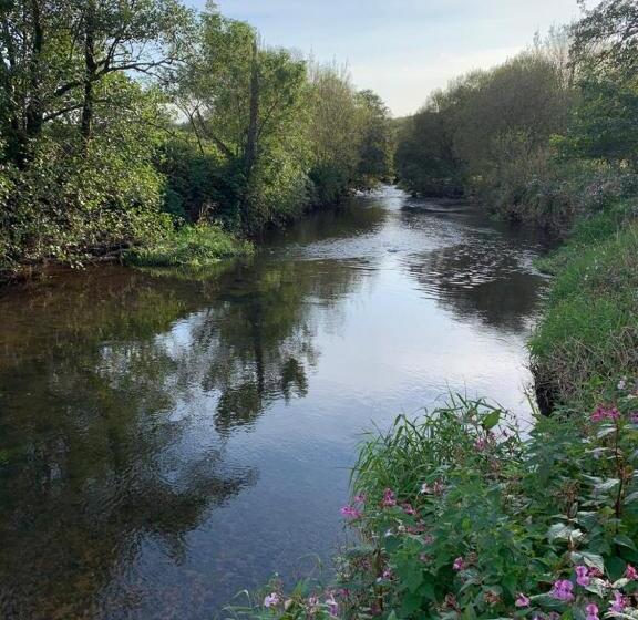 بنسيون The Reindeer Retreat Buttercup Twin