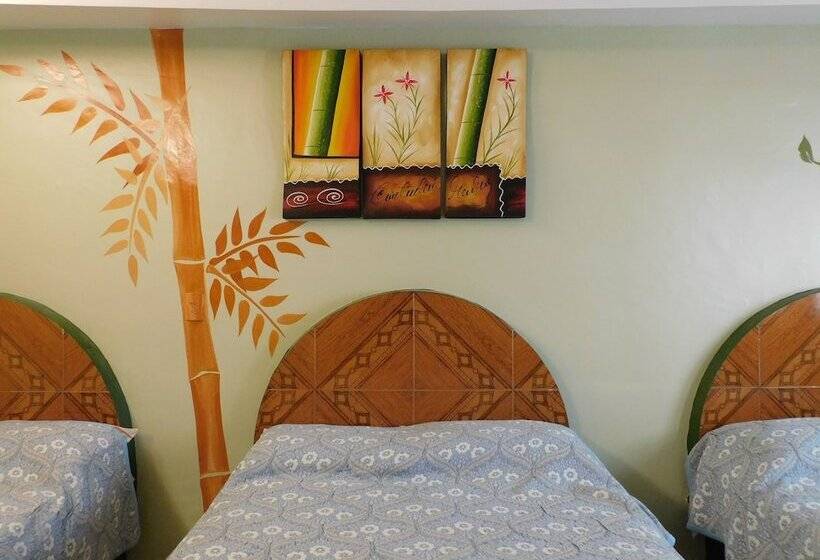 Отель Casa De Huéspedes Yoli By Rotamundos