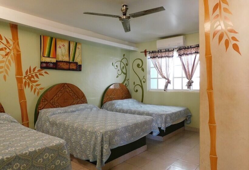 Отель Casa De Huéspedes Yoli By Rotamundos