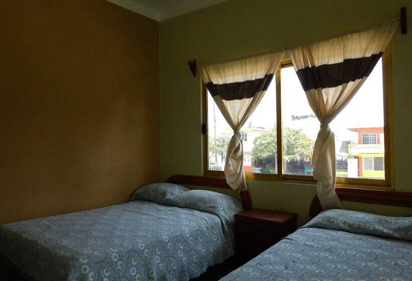 Отель Casa De Huéspedes Yoli By Rotamundos