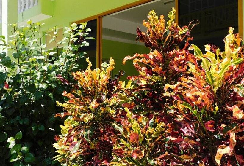 Отель Casa De Huéspedes Yoli By Rotamundos