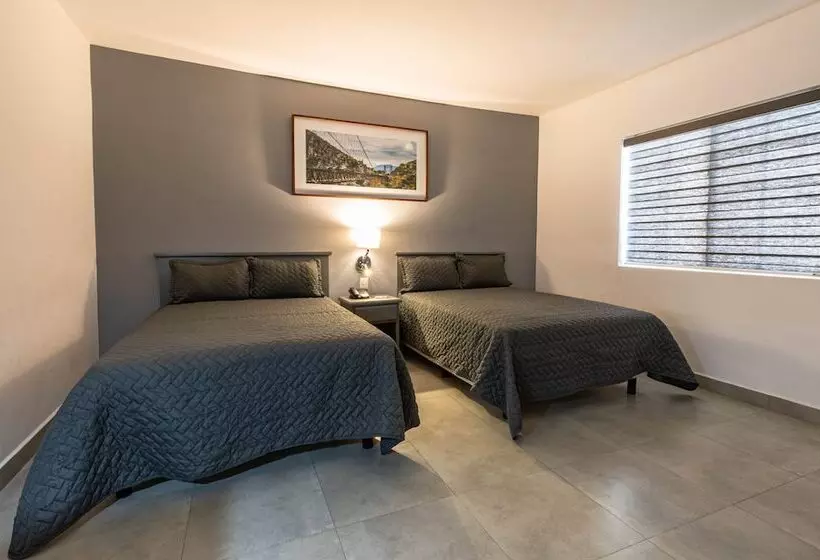 Hotelli Nuve Gomez Palacio