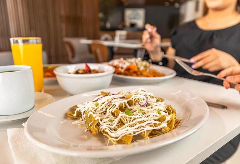 Hotel Nuve Gomez Palacio