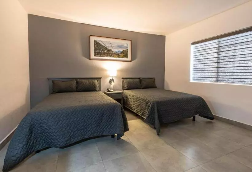 Hotelli Nuve Gomez Palacio