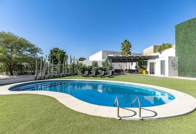 Hotelli Nuve Gomez Palacio