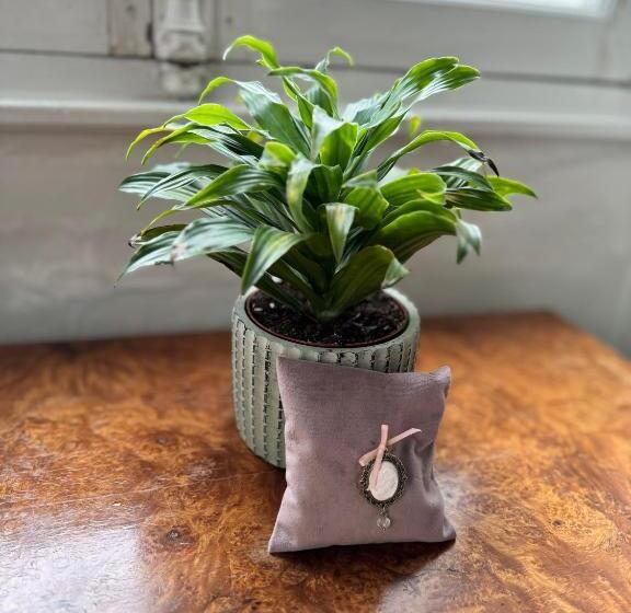 펜션 La Maison D Hôtes Du Chapelier