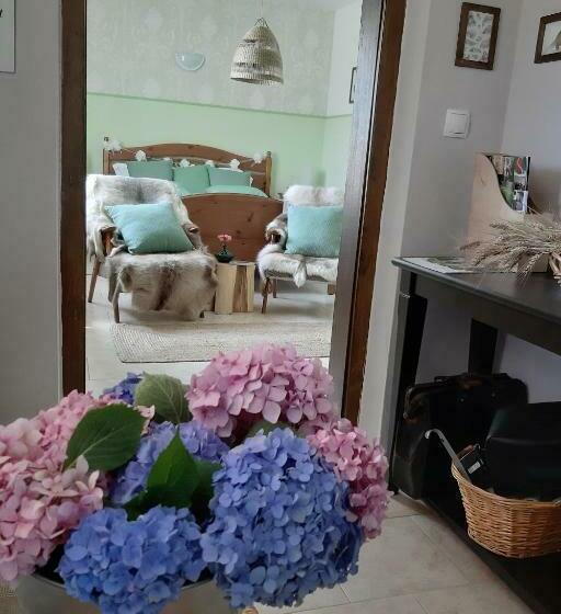 Pensionat Hiša Antonija