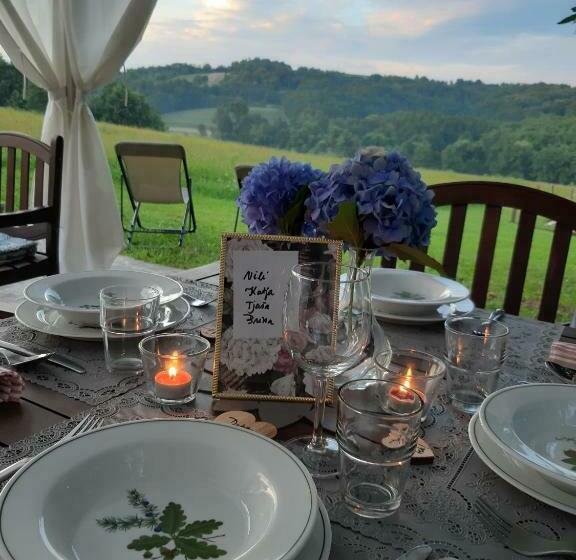 Pensionat Hiša Antonija