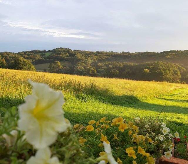 Pensionat Hiša Antonija