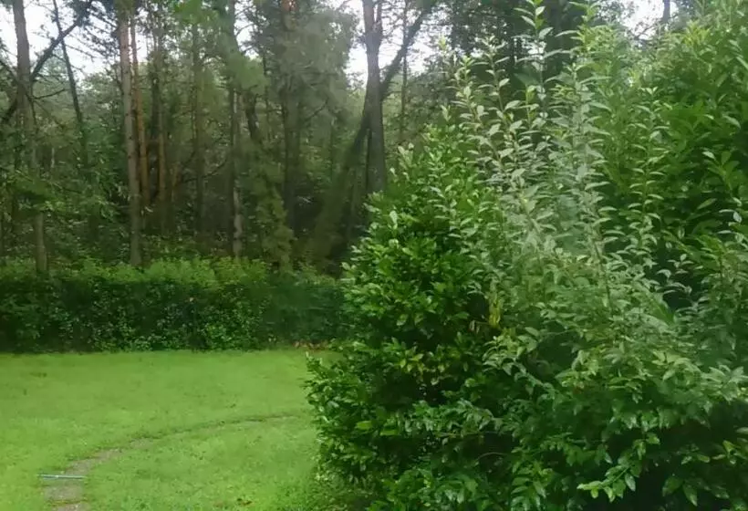 ペンション L Oasi Nel Bosco