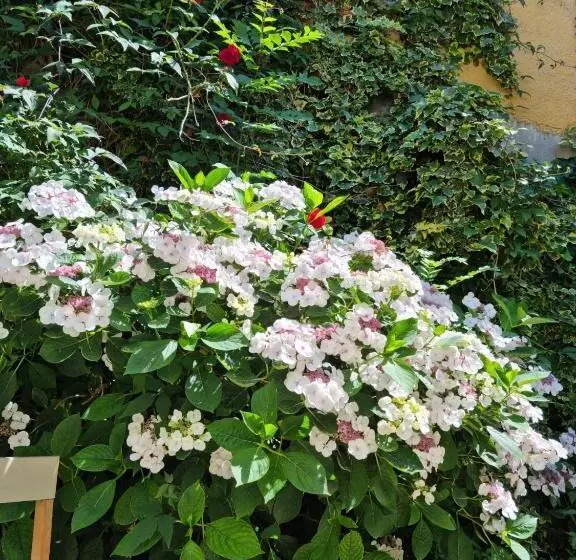 ペンション L évasion Romantique Suite De Charme Avec Spa Privé à 20min De Paris Et Au Calme En Lisière De La Fo