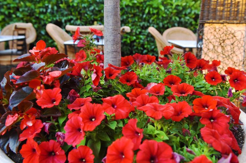 호텔 Armata Boutique