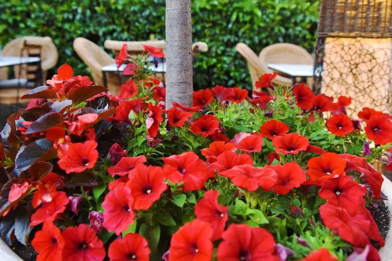 호텔 Armata Boutique