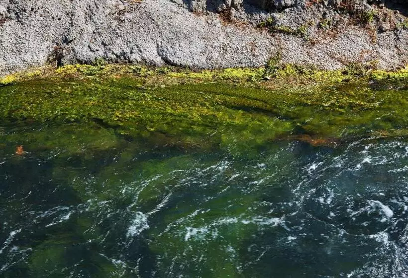 בית מלון כפרי La Sorgente Hs