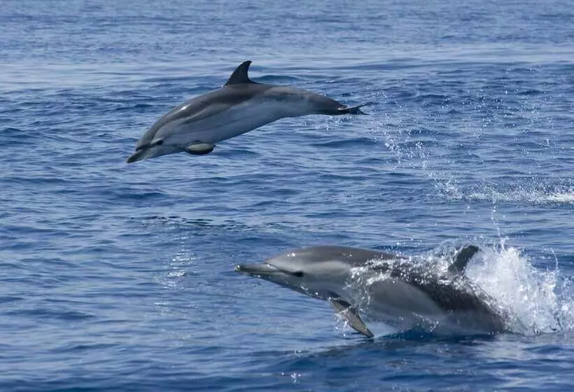 Residenza Capriccioli