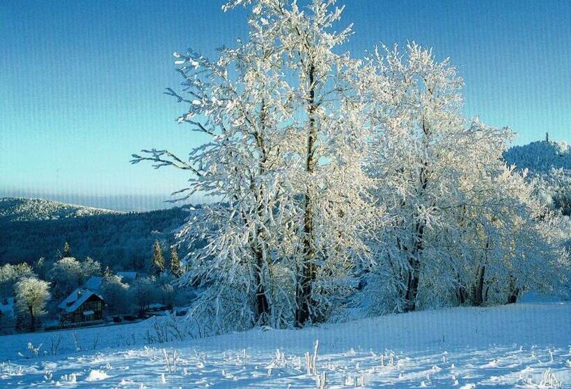 فندق Oybiner Hof