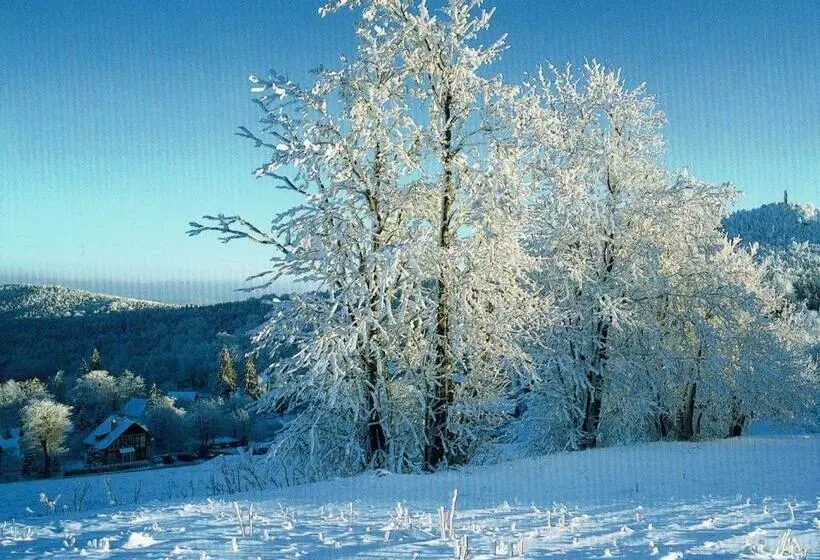 ホテル Oybiner Hof