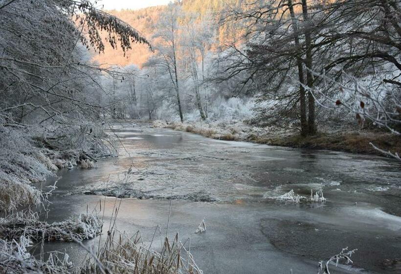 پانسیون Le Refuge D Engreux