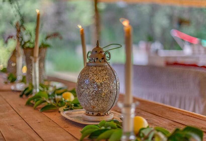 Pension The Lazy Lapa