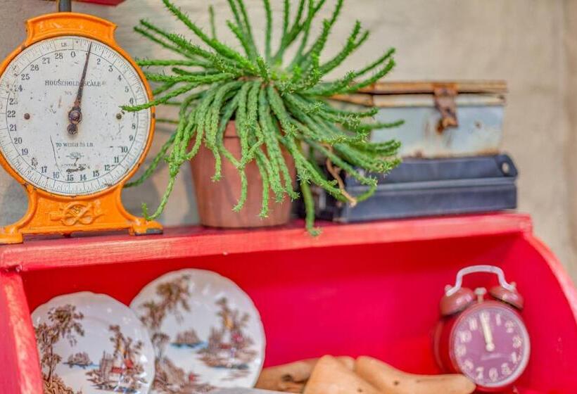 Pension The Lazy Lapa