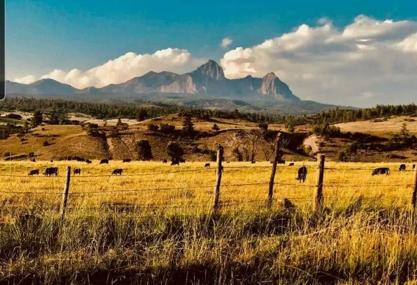 リゾートホテル Navajo Peak Lodge