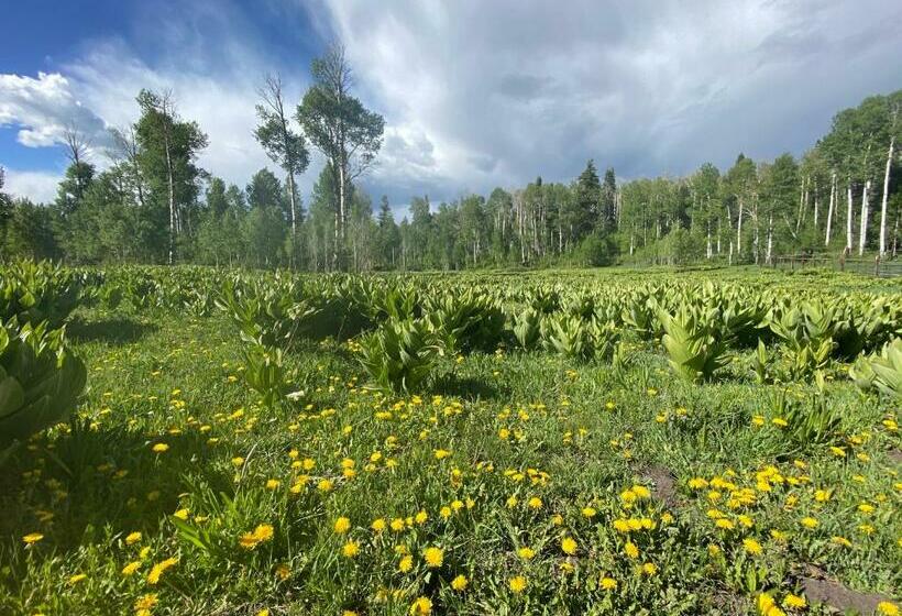 אתר נופש Navajo Peak Lodge