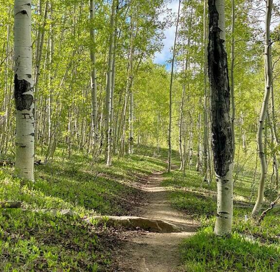 אתר נופש Navajo Peak Lodge