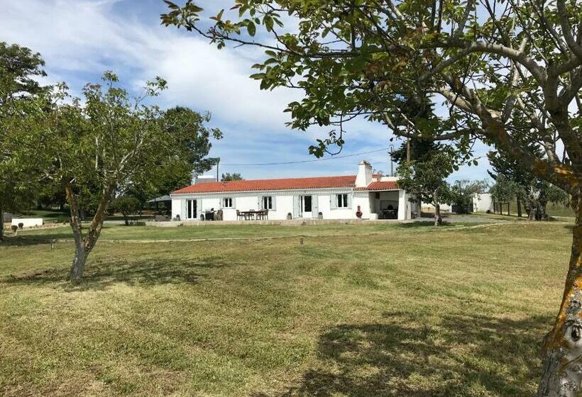 مبيت وإفطار Horta Da Rosa Adults Only