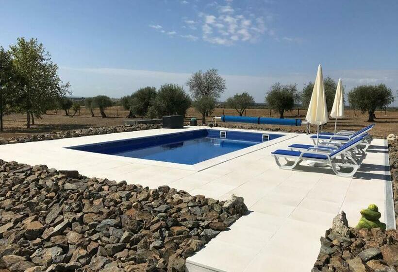 مبيت وإفطار Horta Da Rosa Adults Only