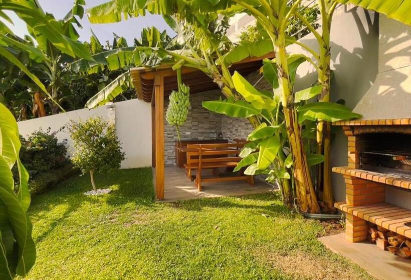 پانسیون Holiday Apartment Sunset Ocean