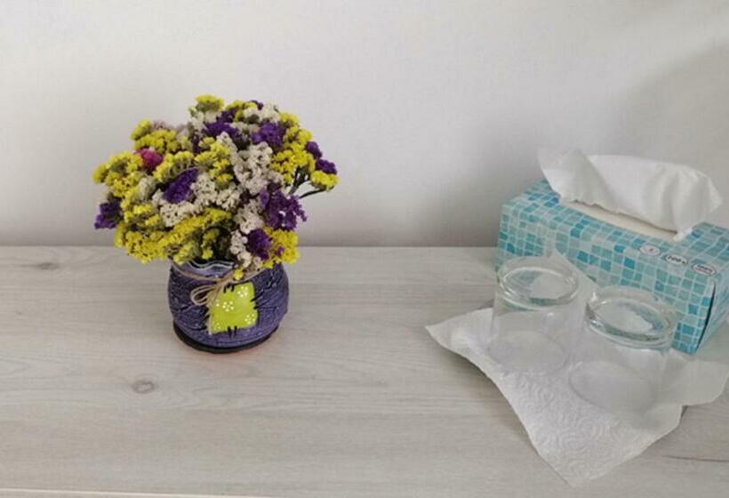 پانسیون Check In Kaya