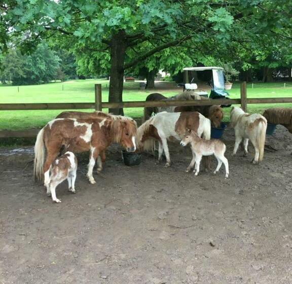 펜션 Château De Beauchamp  La Chapelle De Guinchay