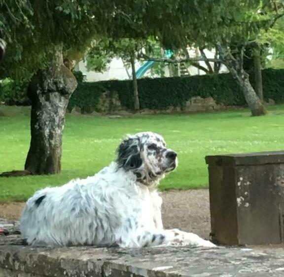 펜션 Château De Beauchamp  La Chapelle De Guinchay