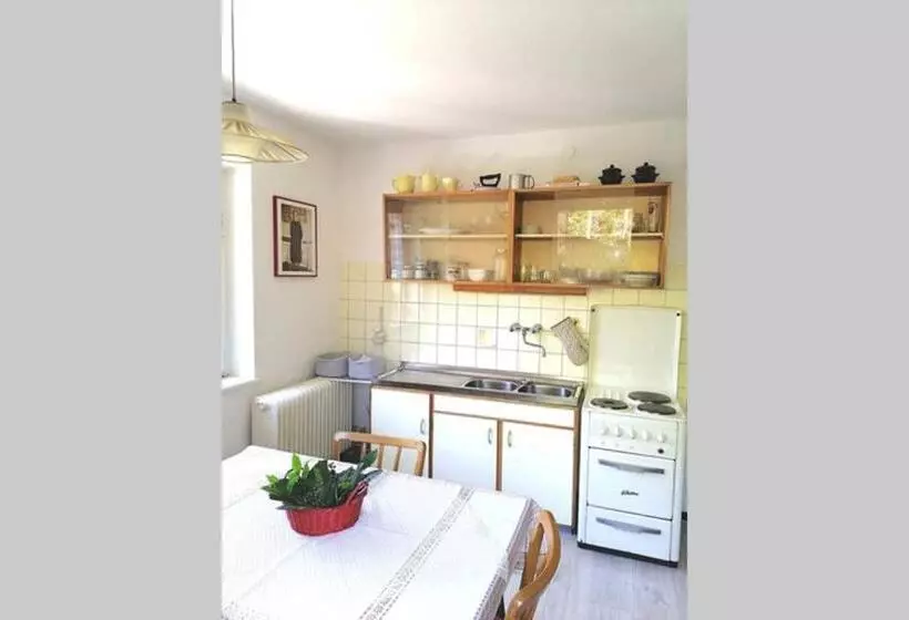 ペンション Dimai House 1950s