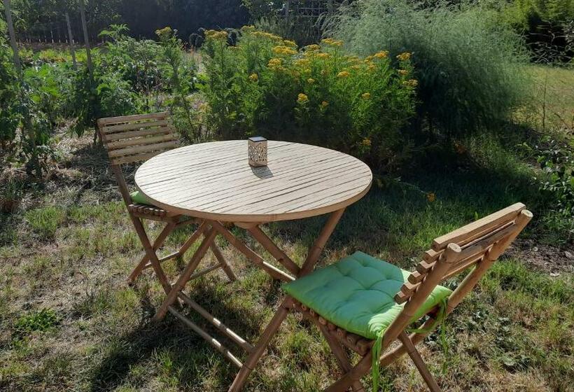 بنسيون Le Grand Souffle