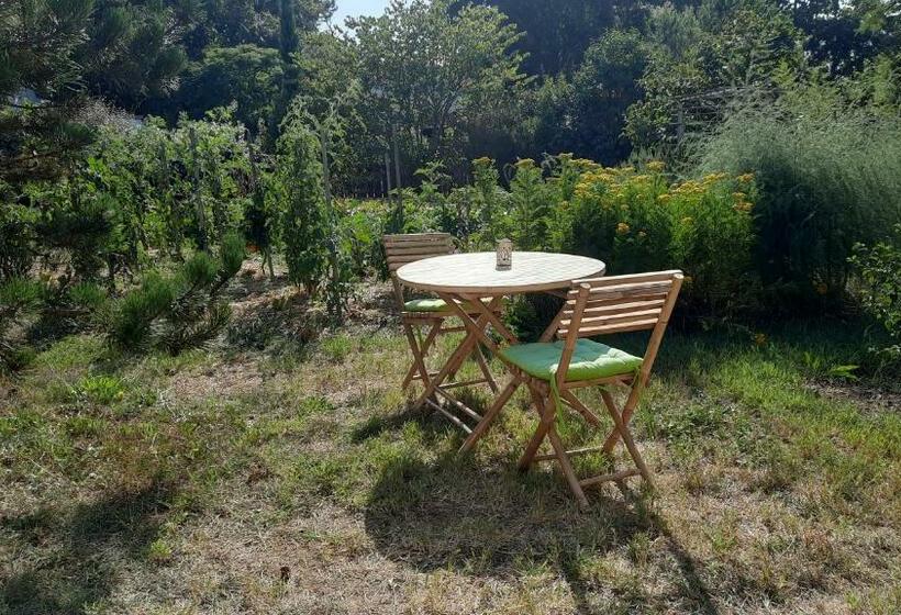 بنسيون Le Grand Souffle