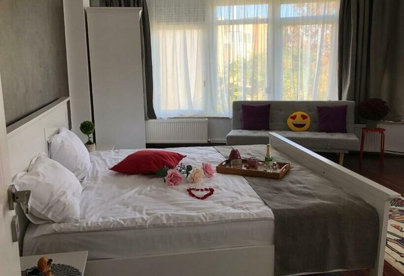 Pensiunea Pont Euxin