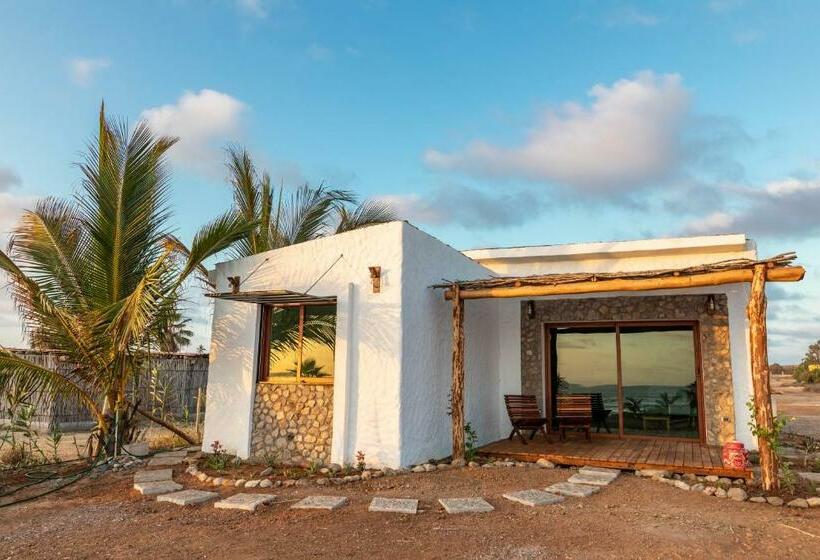 Toninas México Bungalow Cardenal