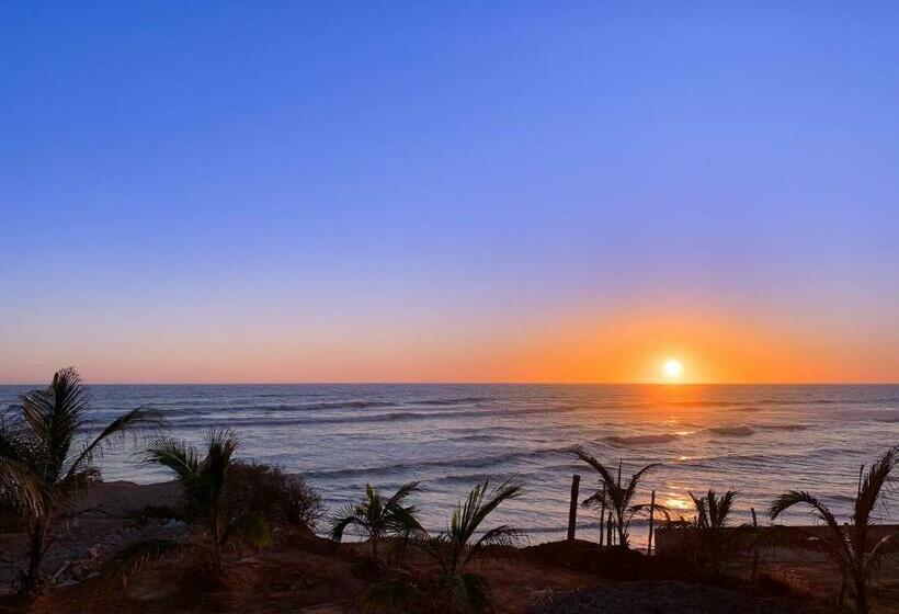 Toninas México Bungalow Cardenal