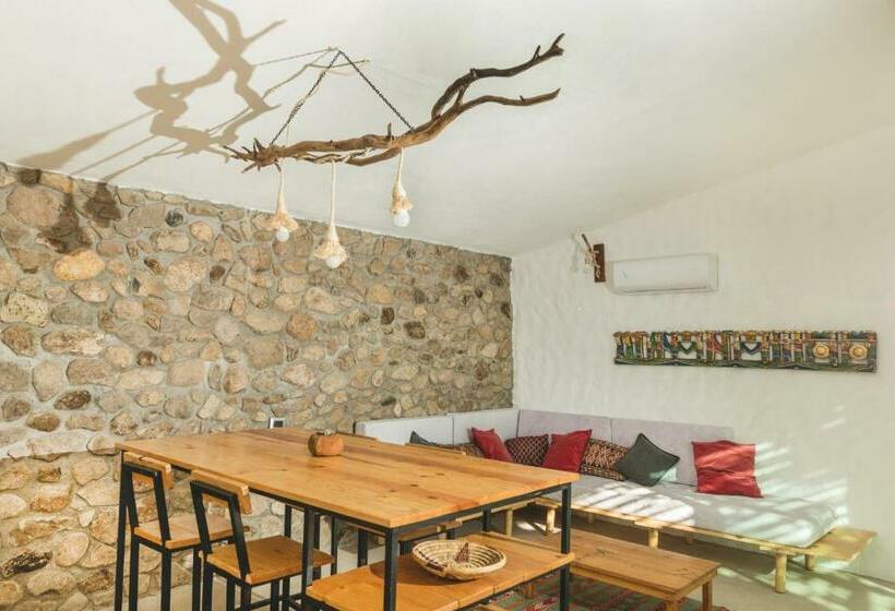 Toninas México Bungalow Cardenal