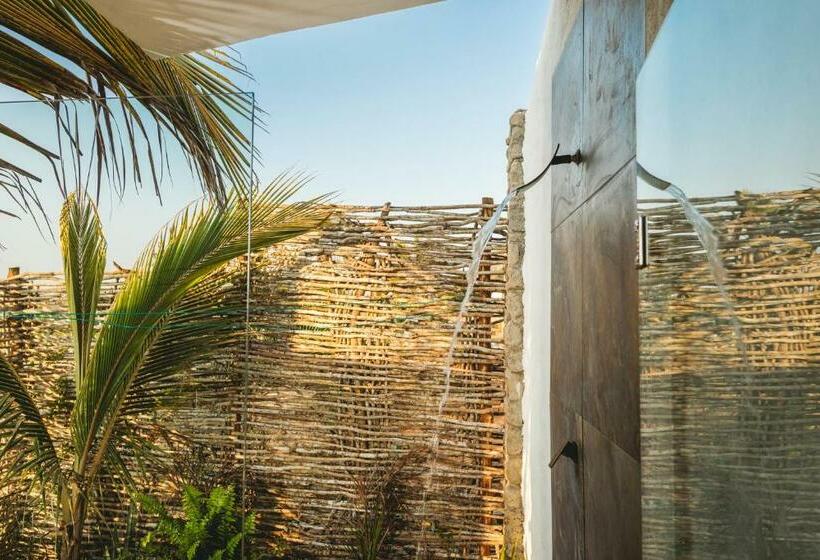 Toninas México Bungalow Cardenal