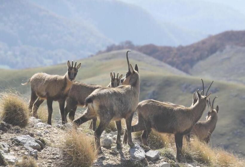 B&b La Casa Dei Nonni