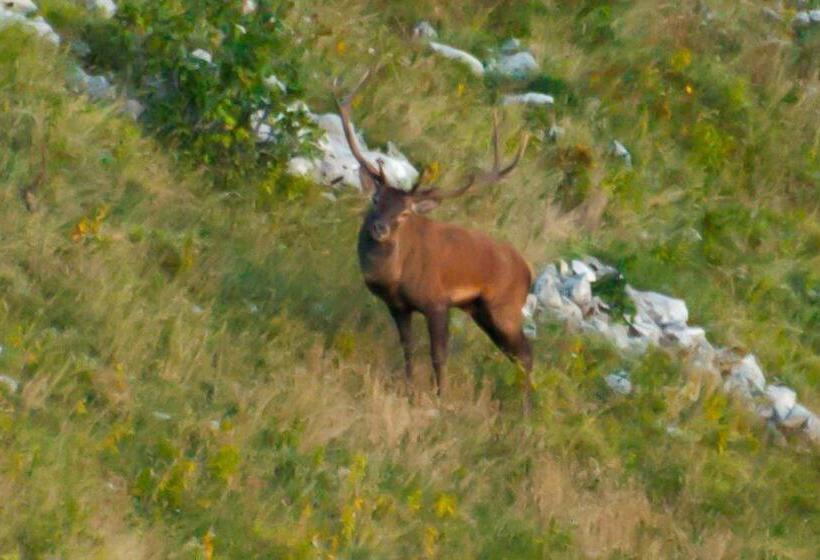 B&b La Casa Dei Nonni